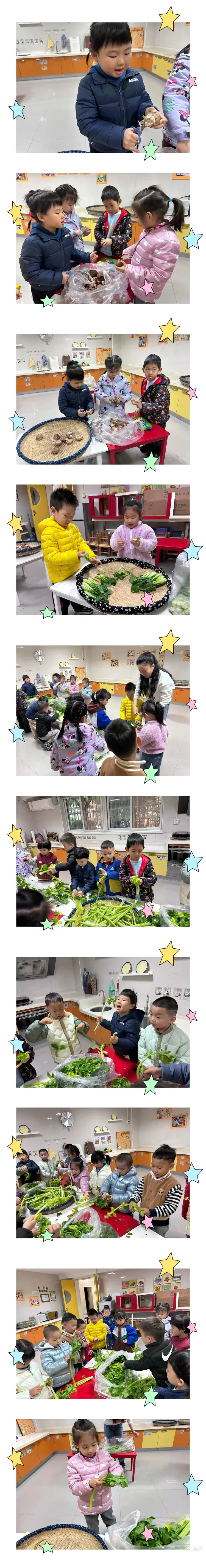 本周是中四班小朋友为期一周的帮厨,早到的小朋友开始进行择菜啦,有的